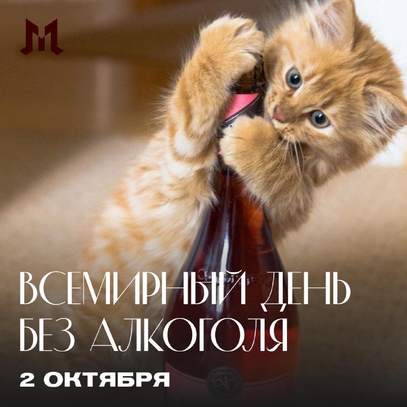 Фото поста канала Московская Хроника
