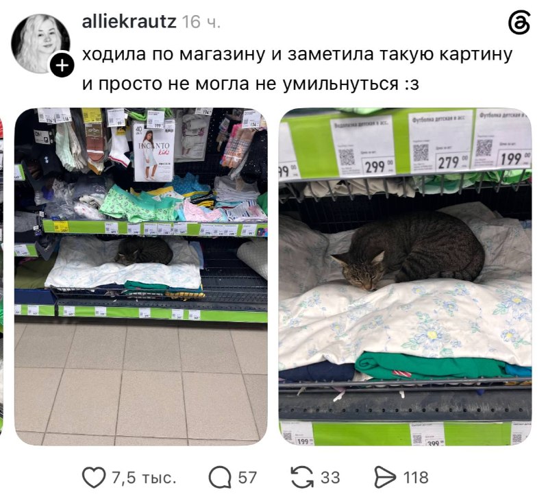 Фото поста канала Беспощадный ритейл