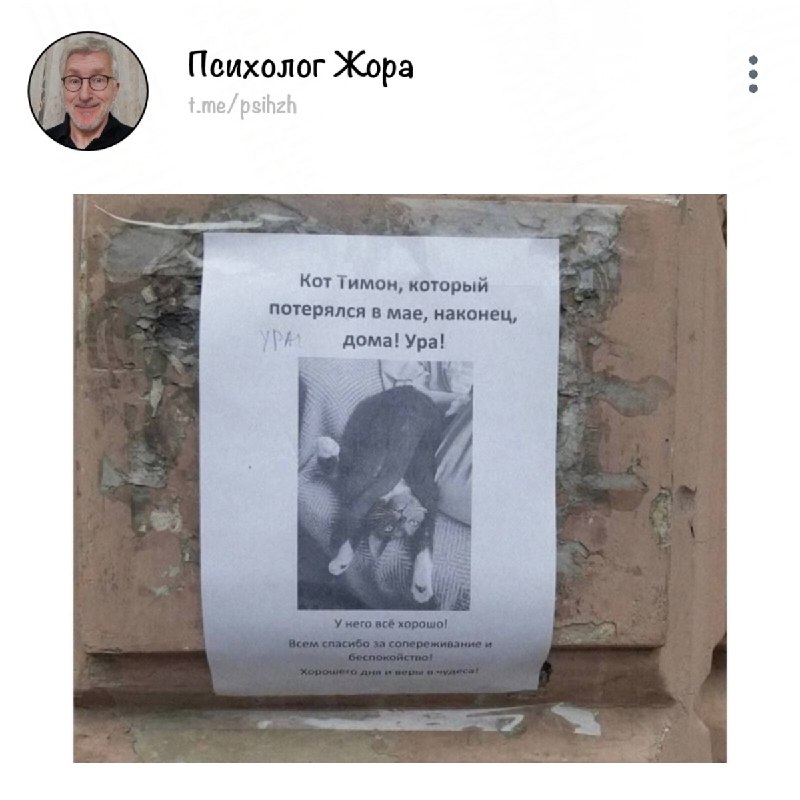 Фото поста канала Психолог Жора