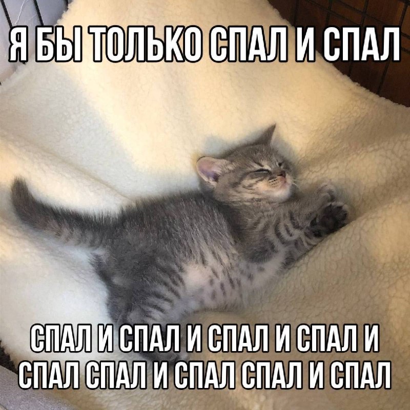 Фото поста канала TrendWatching