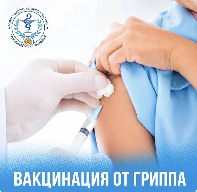 Фото поста канала  Чп Элиста / Калмыкия новости
