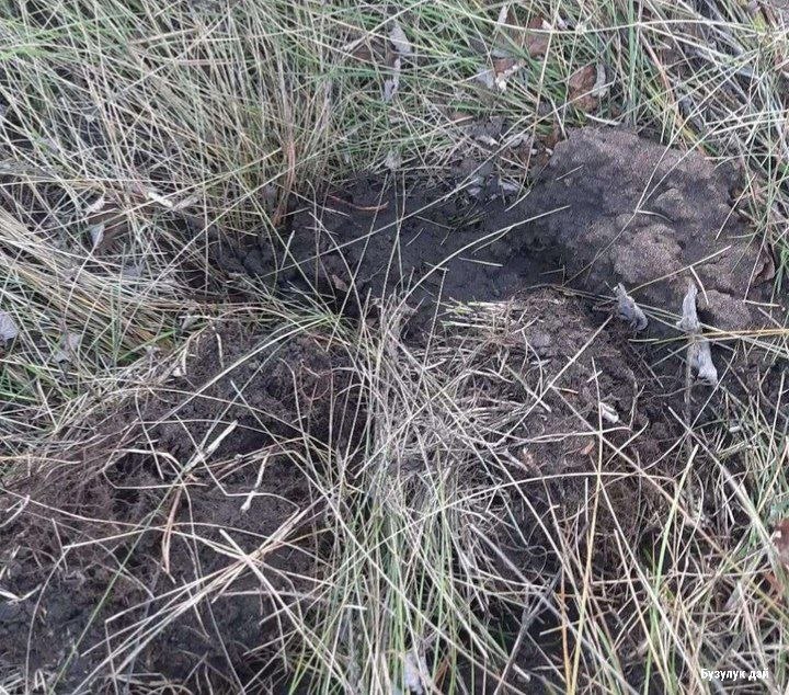 Фото поста канала Новости Оренбурга и Области