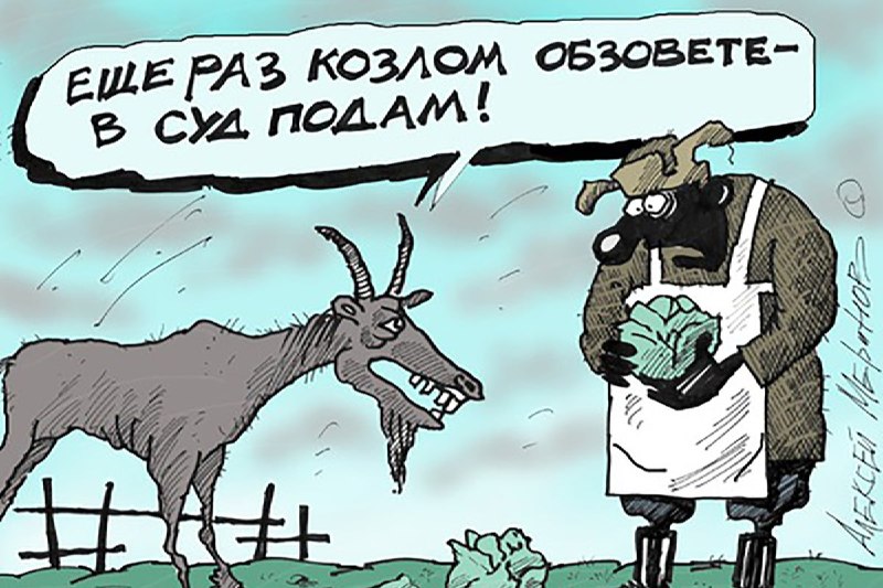 Фото поста канала  Новости и Сводки ДНР