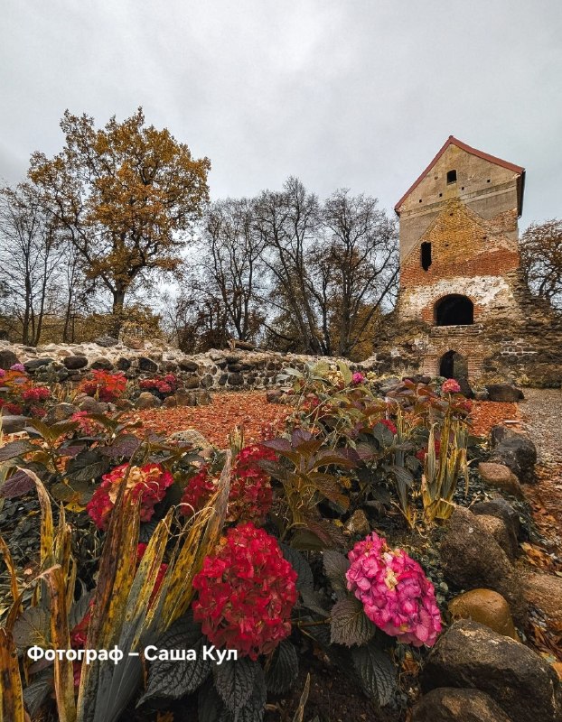 Фото поста канала  Клопс
