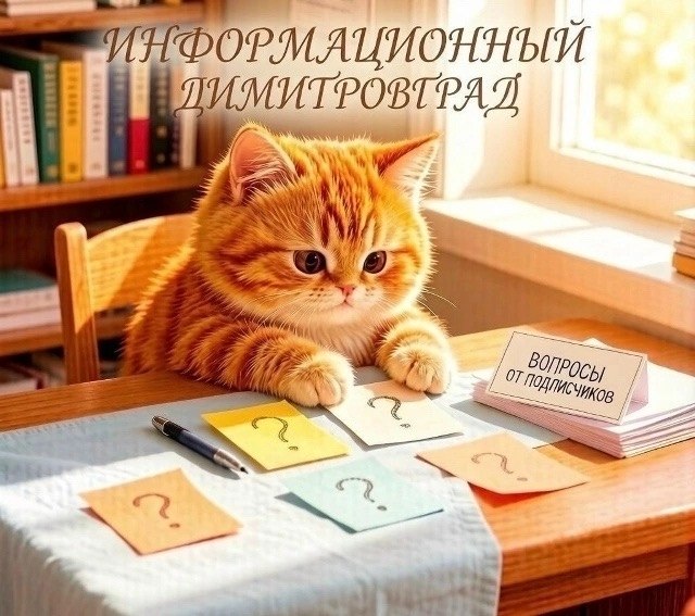 Фото поста канала  Информационный Димитровград