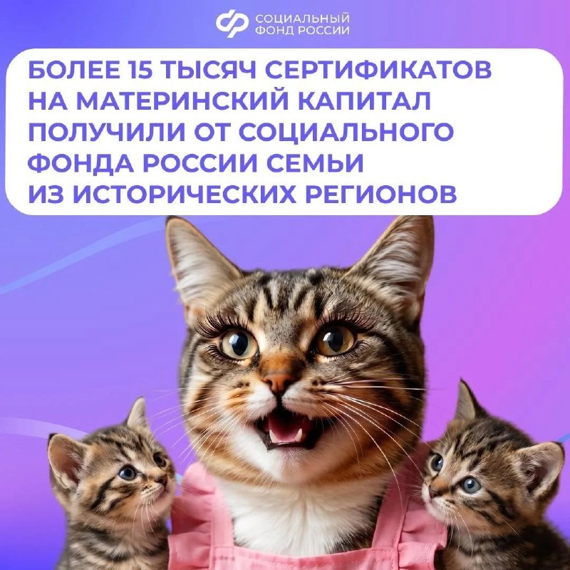 Фото поста канала  Донбасс Инфоград (Новости Сводки События) Россия (Павловка - Угледар)