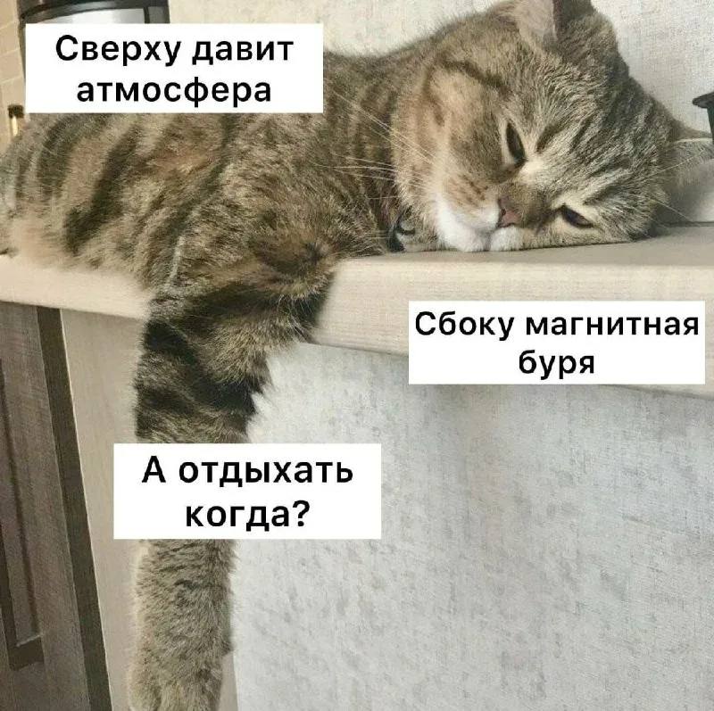Фото поста канала  Зеленодольск Life | Яшел Үзән| РТ