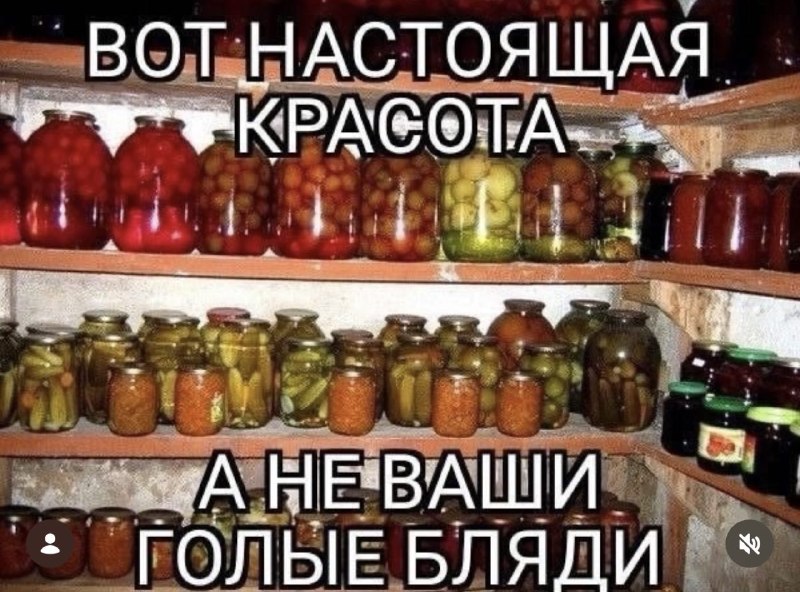 Фото поста канала  Остров спасения