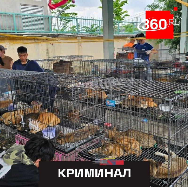 Фото поста канала  360.ru