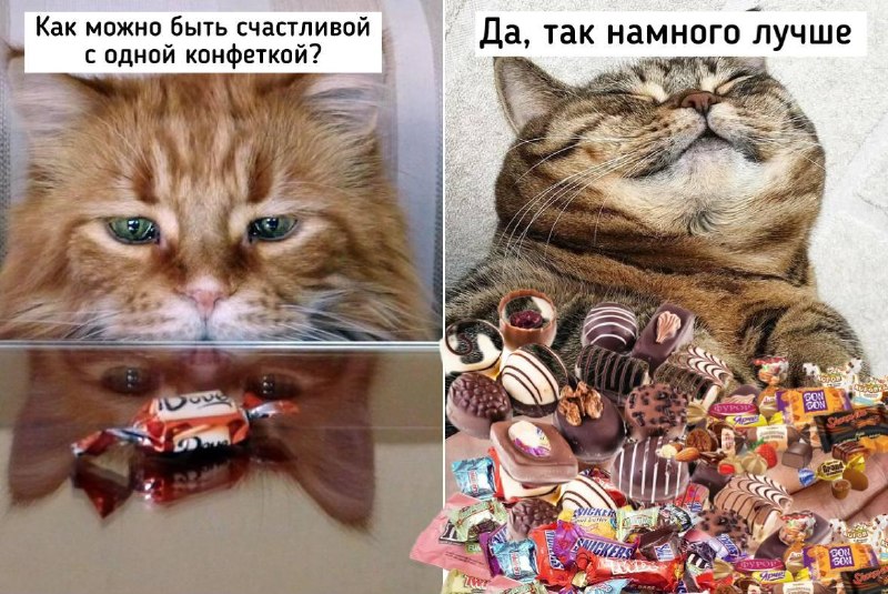 Фото поста канала Москва с огоньком