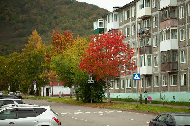 Фото поста канала  Камчатский Репортёр