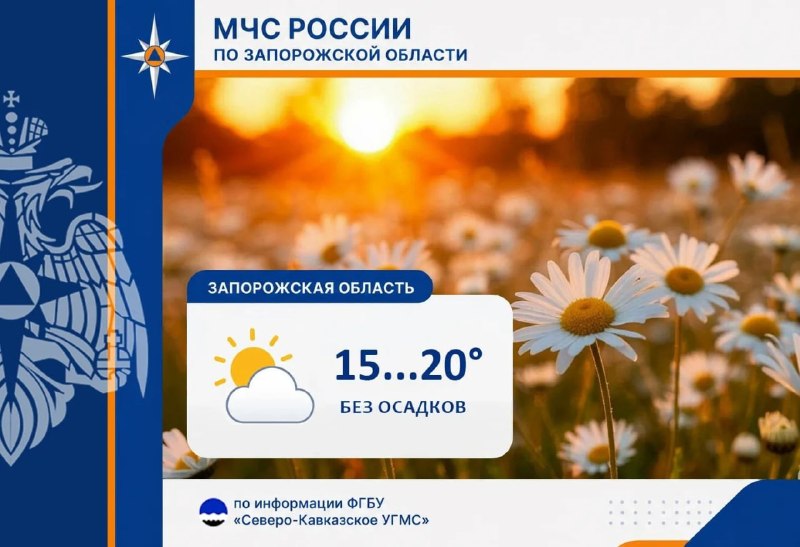 Фото поста канала  Главное в Пологах