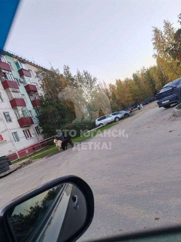 Фото поста канала  Это Юганск, детка!