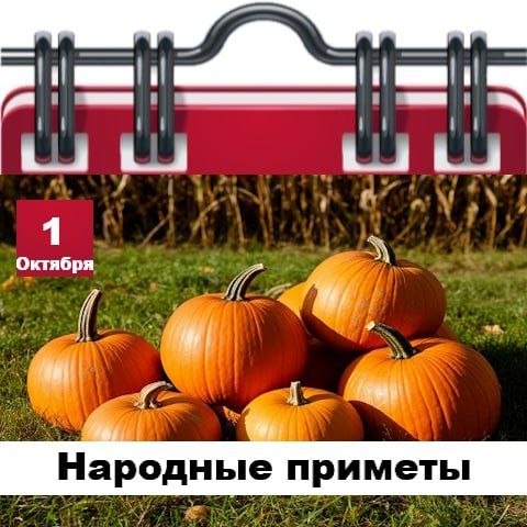 Фото поста канала  Жесть Шебекино