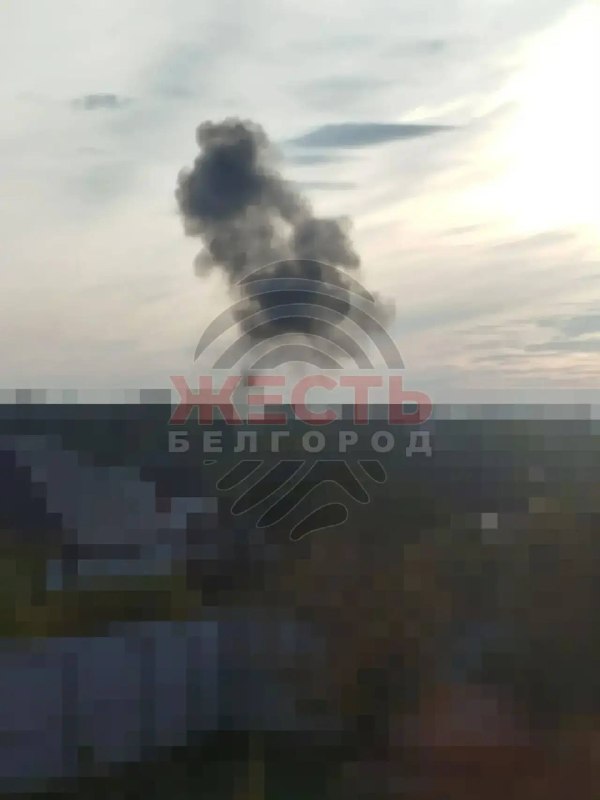 Фото поста канала  Жесть Белгород