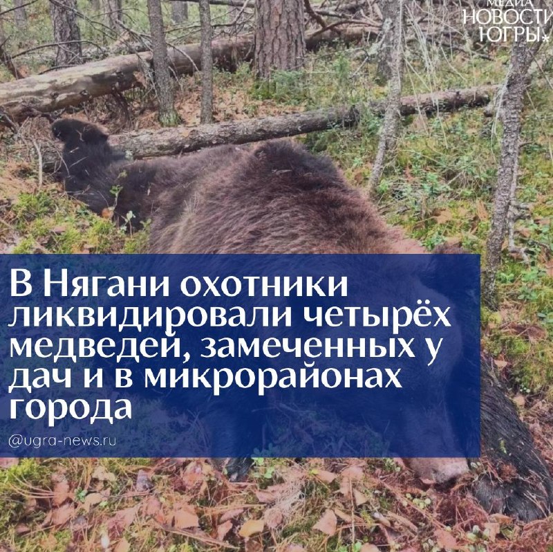 Фото поста канала  Новости Югры