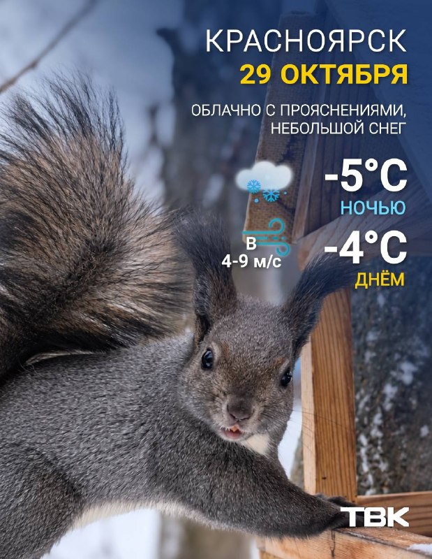 Фото поста канала  ТВК