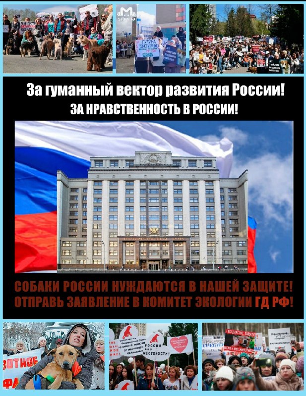 Фото поста канала  Галина Царёва (официальный)