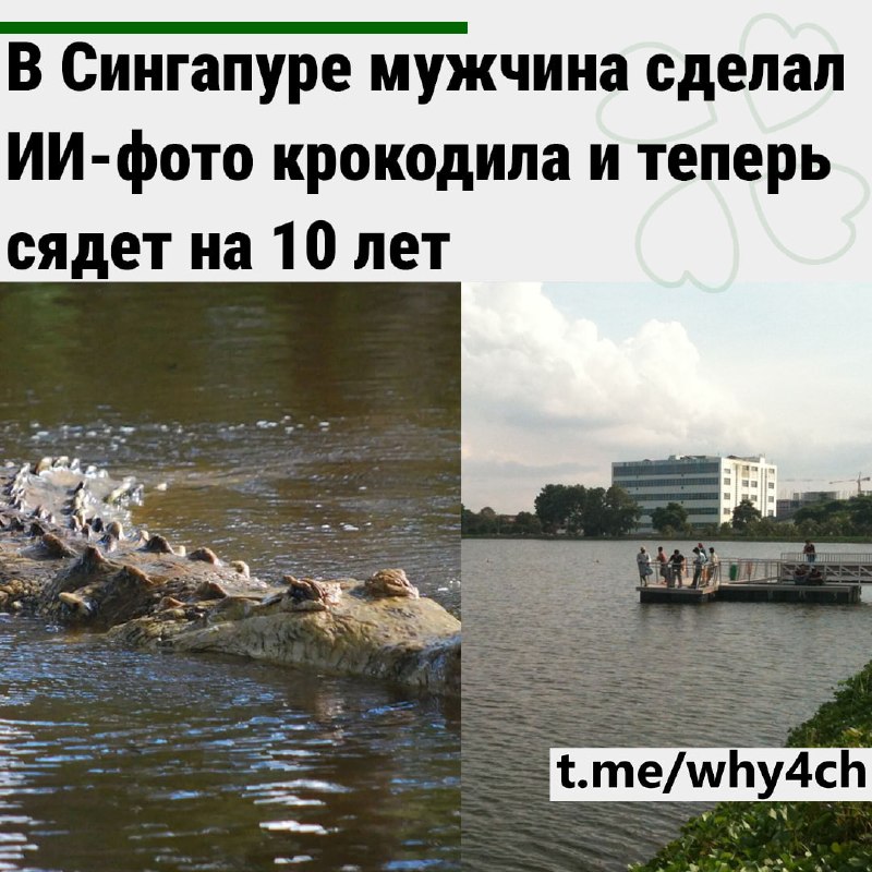 Фото поста канала 4ch