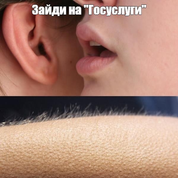 Фото поста канала  Голос торамы