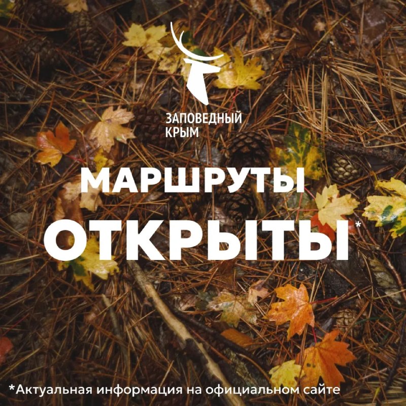 Фото поста канала  Телеграммы иZ Крыма