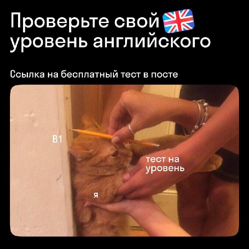 Фото поста канала Skyeng: Английский для жизни