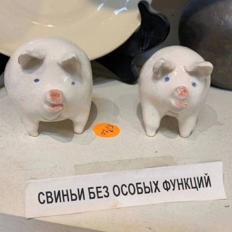 Фото поста канала Пездуза