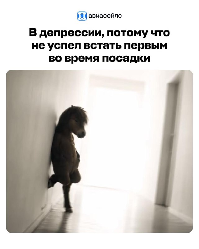 Фото поста канала Авиасейлс