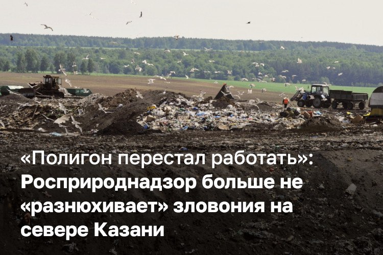 Фото поста канала  БИЗНЕС Online