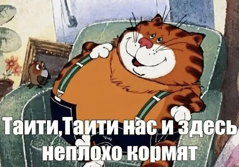 Фото поста канала  Русские Медведи