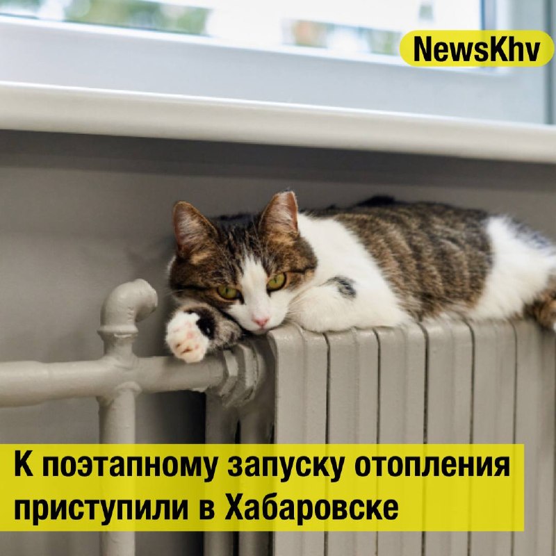 Фото поста канала  NewsKhv