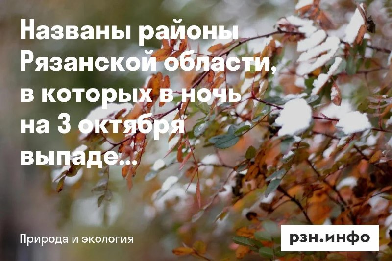 Фото поста канала  Новости Рязани • РЗН.инфо