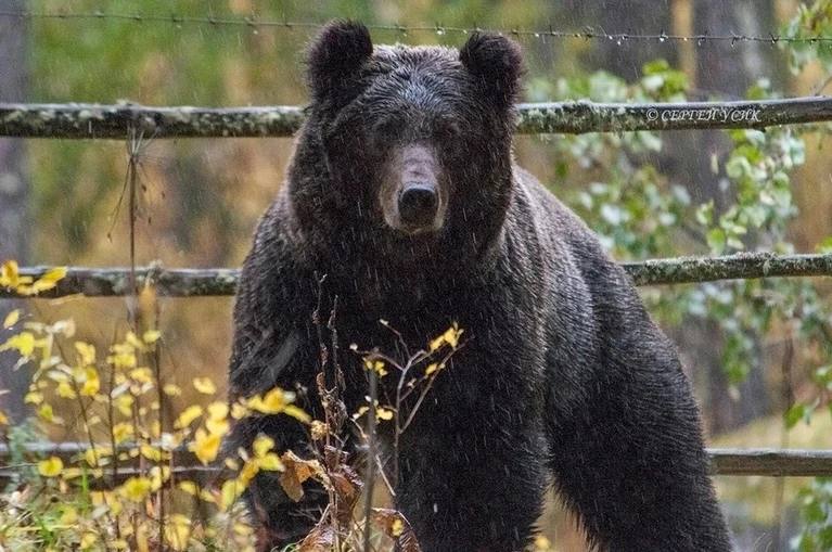 Фото поста канала Комсомольская правда: KP.RU