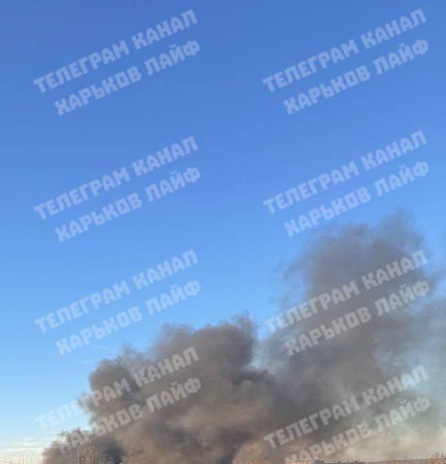 Фото поста канала  🇷🇺ВЕЖЛИВЫЕ ЛЮДИ🅉СВО