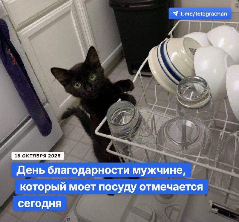 Фото поста канала TELEGRA4CH