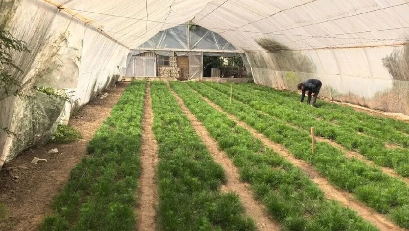 Фото поста канала  Херсонское Агентство Новостей