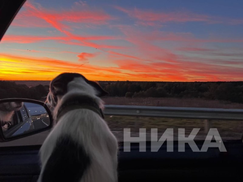 Фото поста канала  НИКА