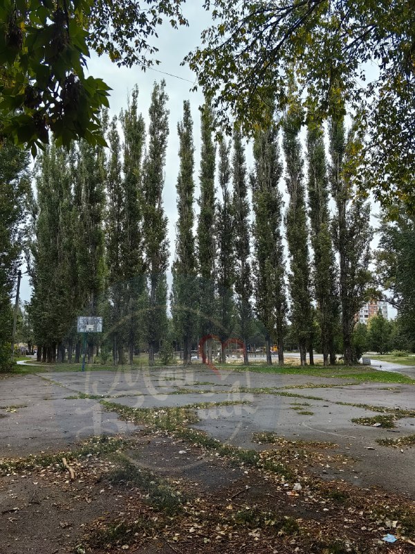 Фото поста канала  Мой Батайск