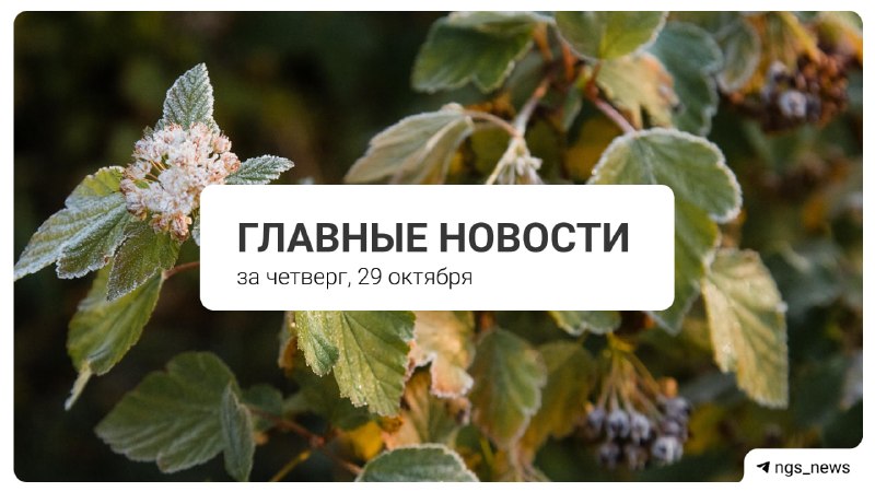 Фото поста канала НГС — новости Новосибирска
