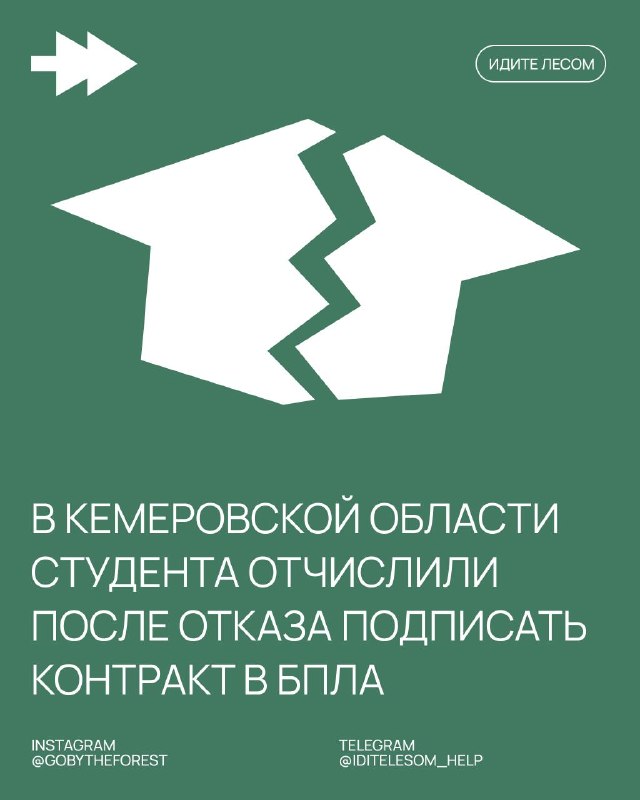 Фото поста канала Идите лесом!