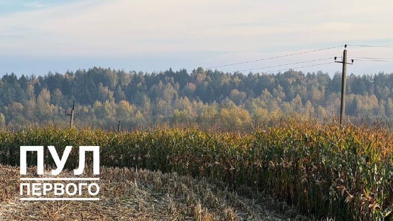 Фото поста канала  СТВ | Новости Беларусь