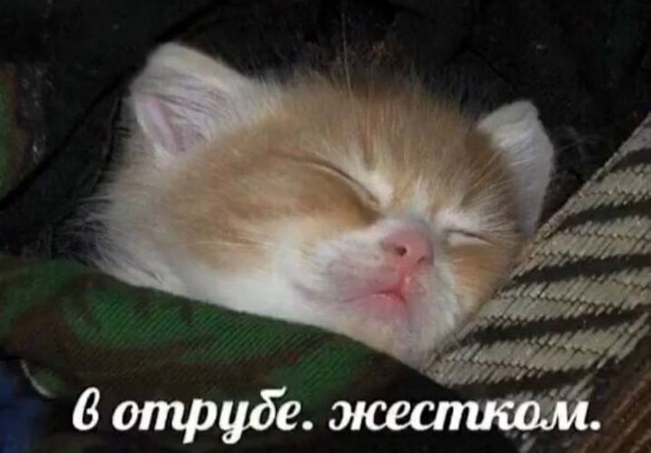 Фото поста канала  ТелеДНО