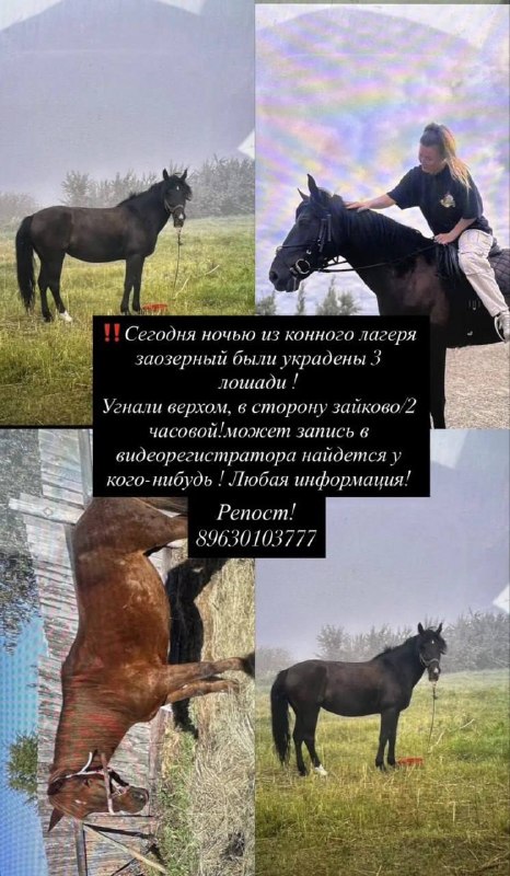 Фото поста канала  Короче, Курган