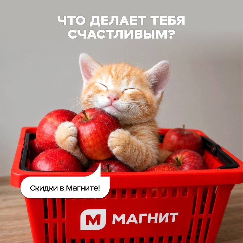 Фото поста канала Магнит