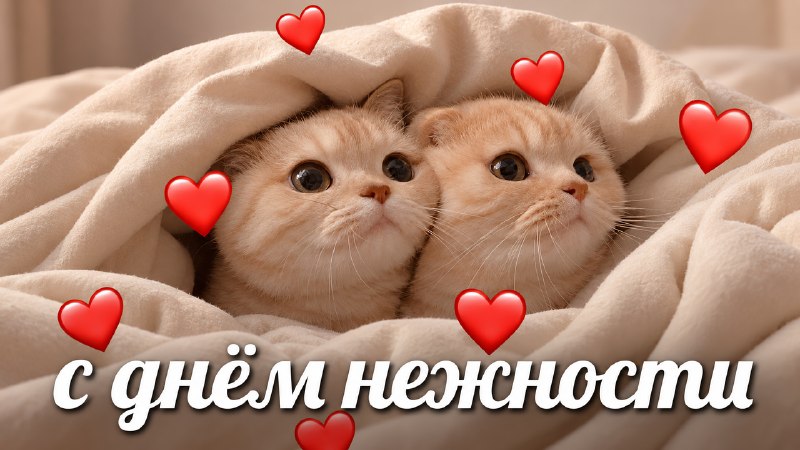 Фото поста канала  ИнформБюро