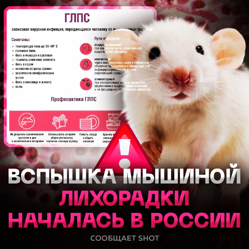 Фото поста канала  Рифмы и Панчи 🤯