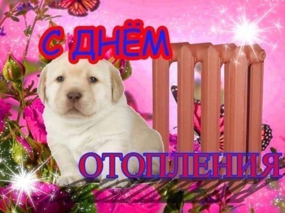 Фото поста канала  Мониторинг 76 Ярославская область