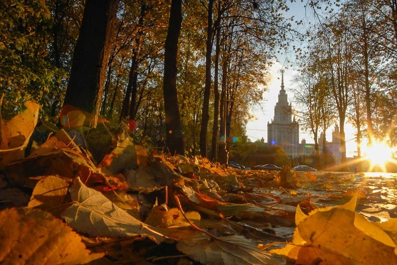 Фото поста канала  Караульный по рейтингам