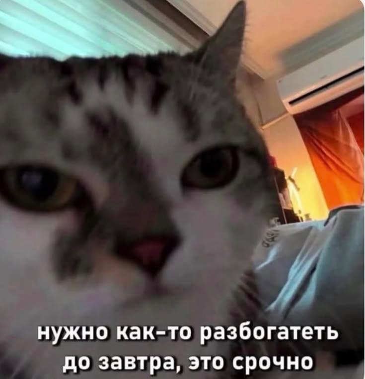 Фото поста канала Chita.Ru | Новости Читы