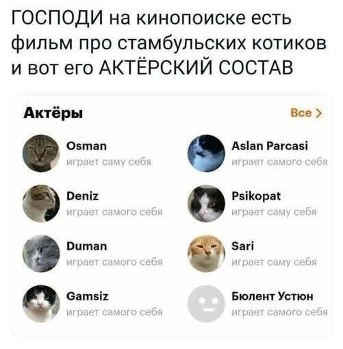Фото поста канала  ИнфоПолЕ 🛰
